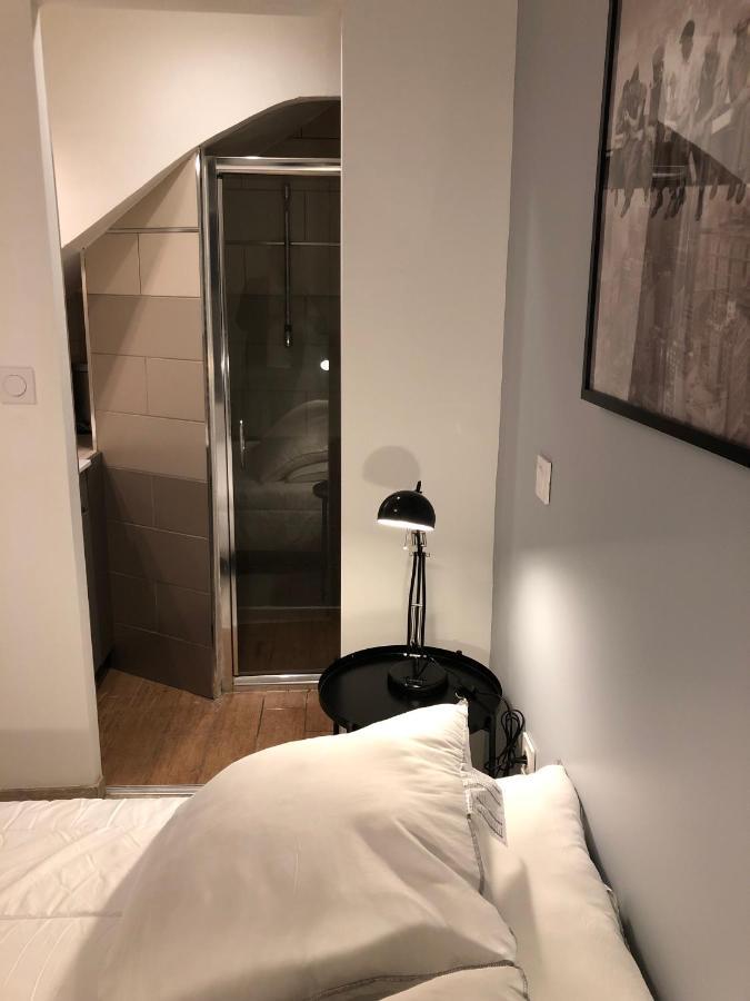 La Bastide 1 A 6 Personnes En Centre Ville 카르카손 외부 사진